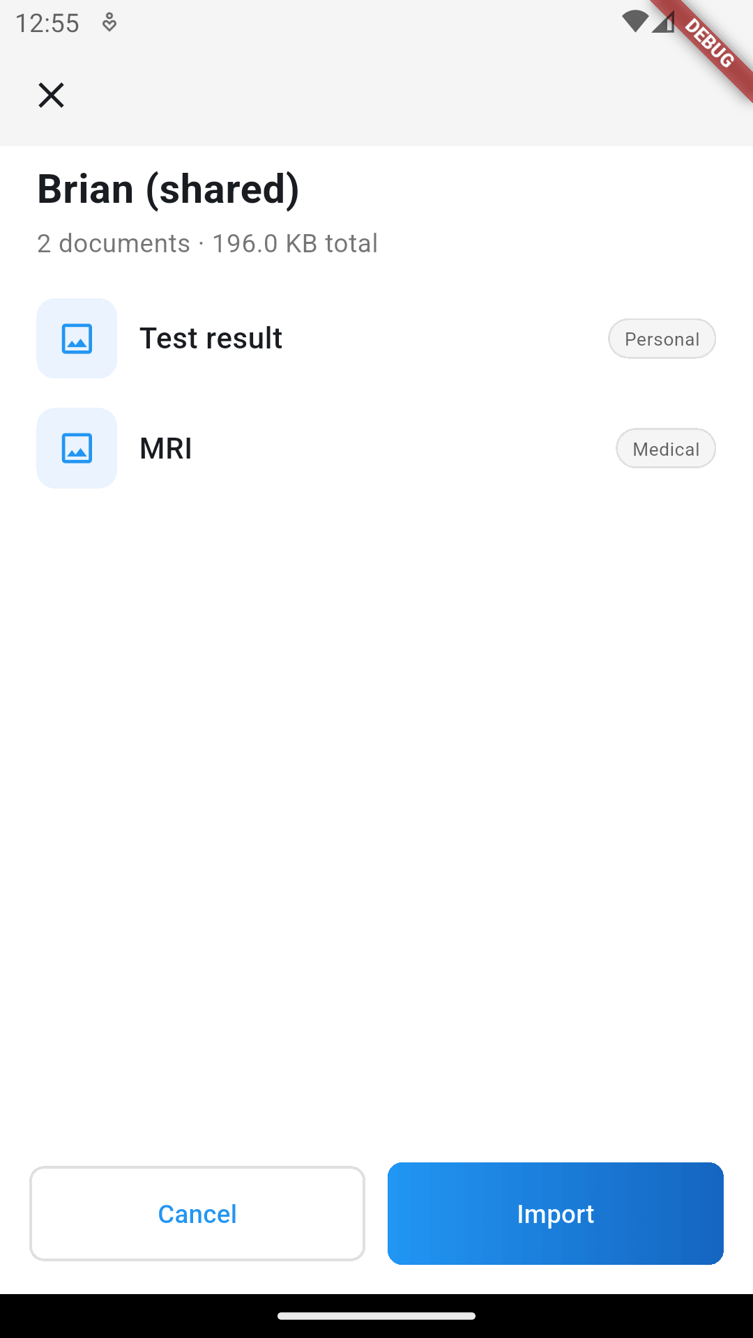 The bundle preview: case name, document list and total size, with an Import button